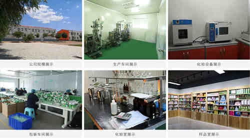 膠原蛋白代加工廠家車(chē)間設(shè)備-德州健之源