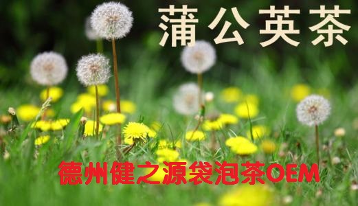 蒲公英茶，今天您喝了嗎？