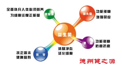 夏天腸胃問(wèn)題頻發(fā)，您應(yīng)該用益生菌了